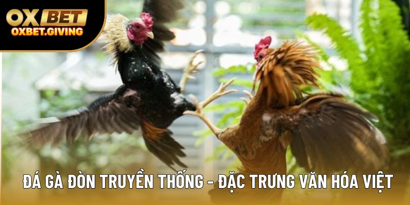 Đá gà đòn truyền thống - đặc trưng văn hóa Việt