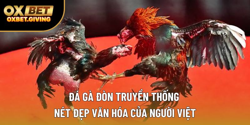 Đá Gà Đòn Truyền Thống - Nét Đẹp Văn Hóa Của Người Việt