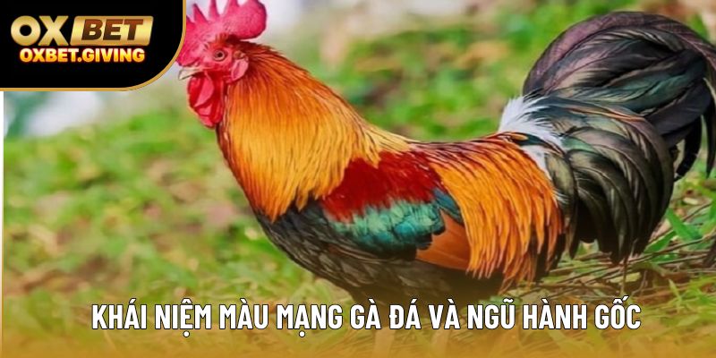 Khái niệm màu mạng gà đá và ngũ hành gốc