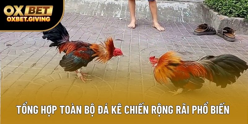 Tổng hợp toàn bộ đá kê chiến rộng rãi phổ biến 