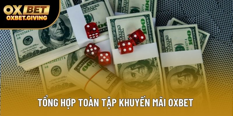 Liên Hệ OXBET: Hướng Dẫn Toàn Diện Các Kênh Hỗ Trợ